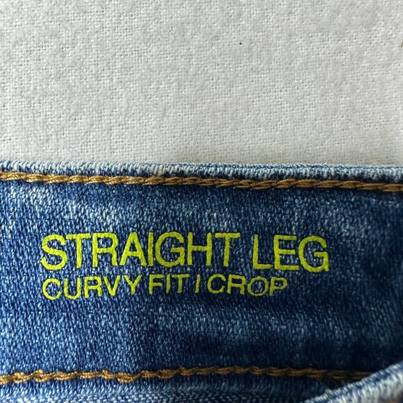 INC Denim Womens Straight Leg Curvy Fit Size 4 Blue Jeans Distressed - Picture 9 of 16